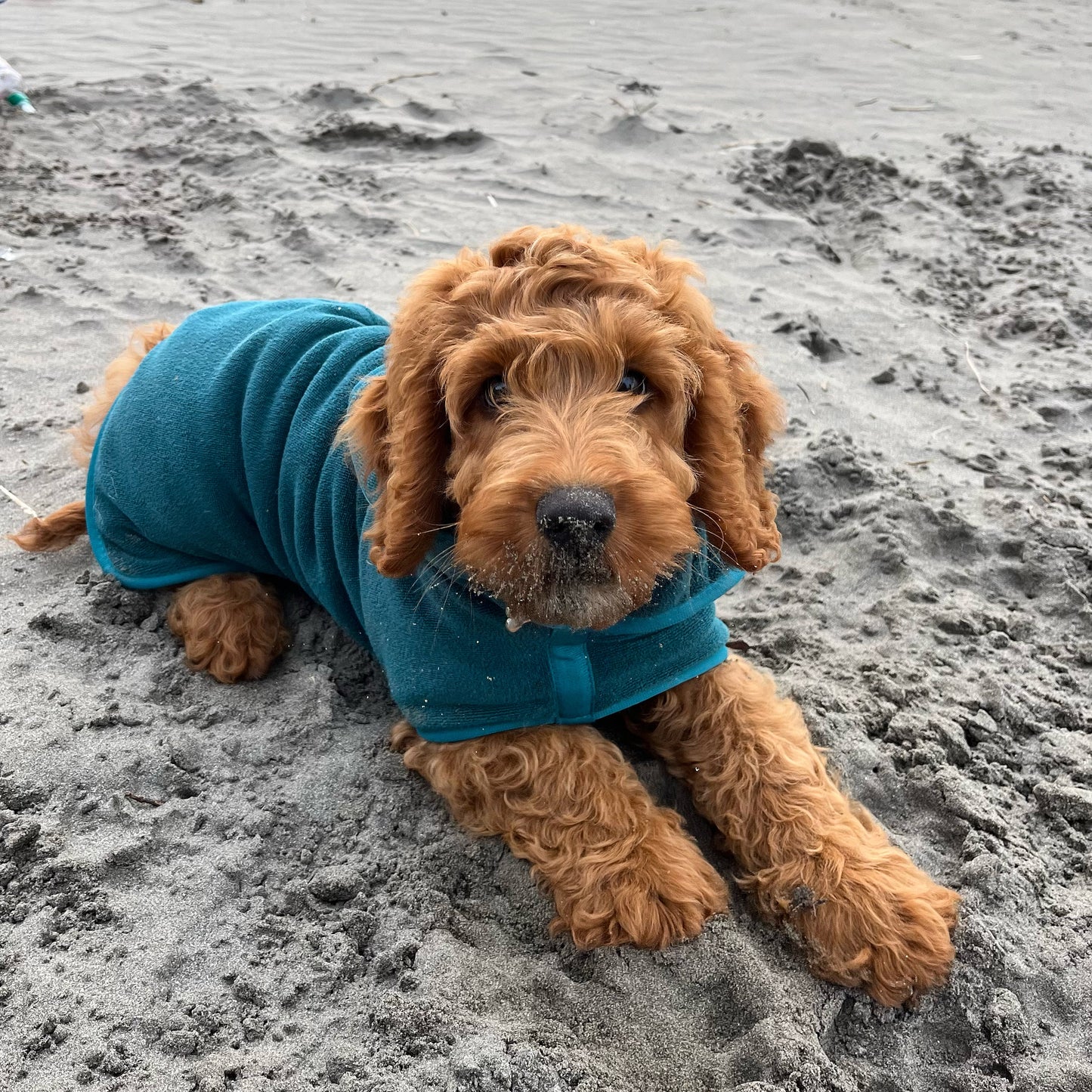 By Lola® - Dog Drying Robe