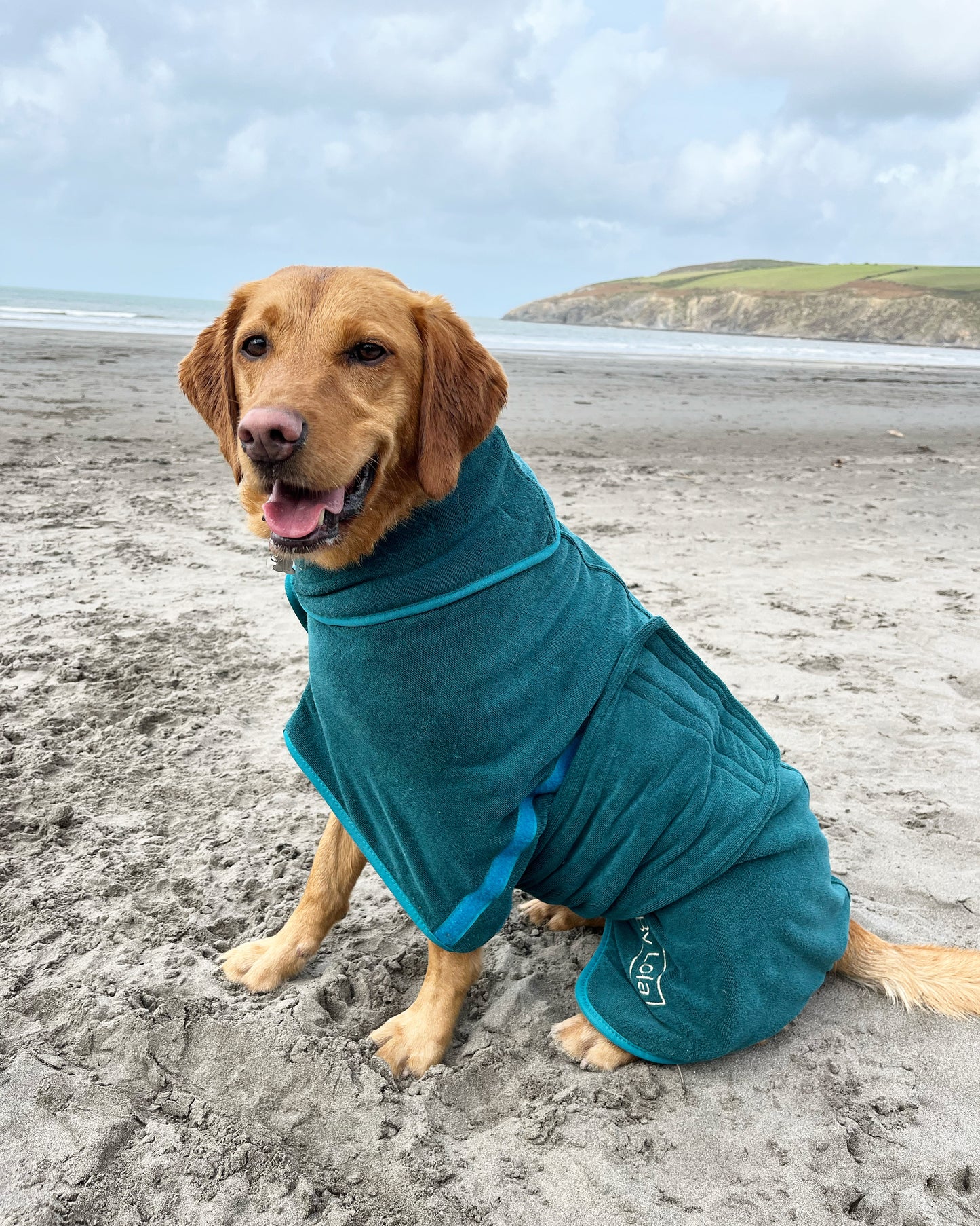 By Lola® - Dog Drying Robe