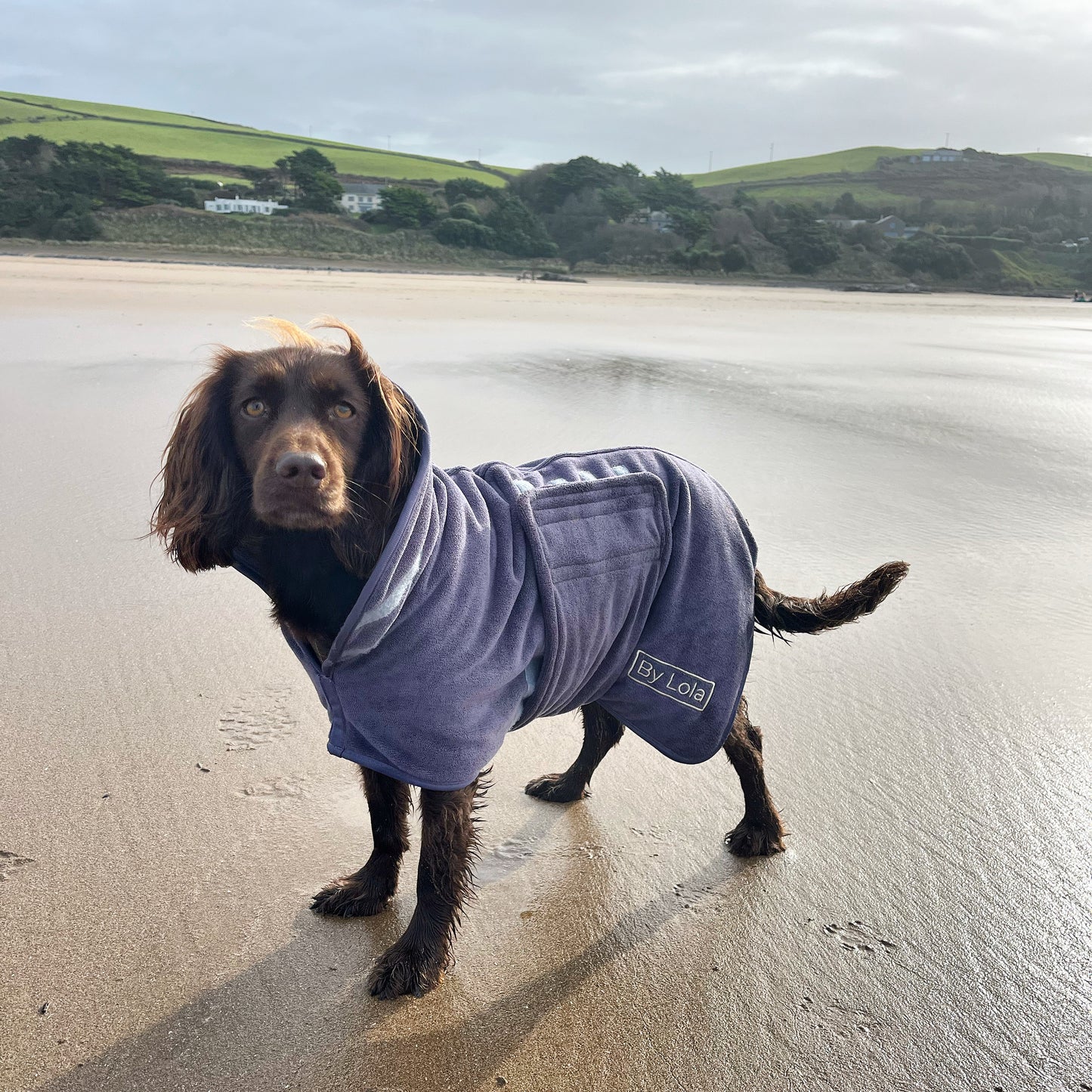 By Lola® - Dog Drying Robe