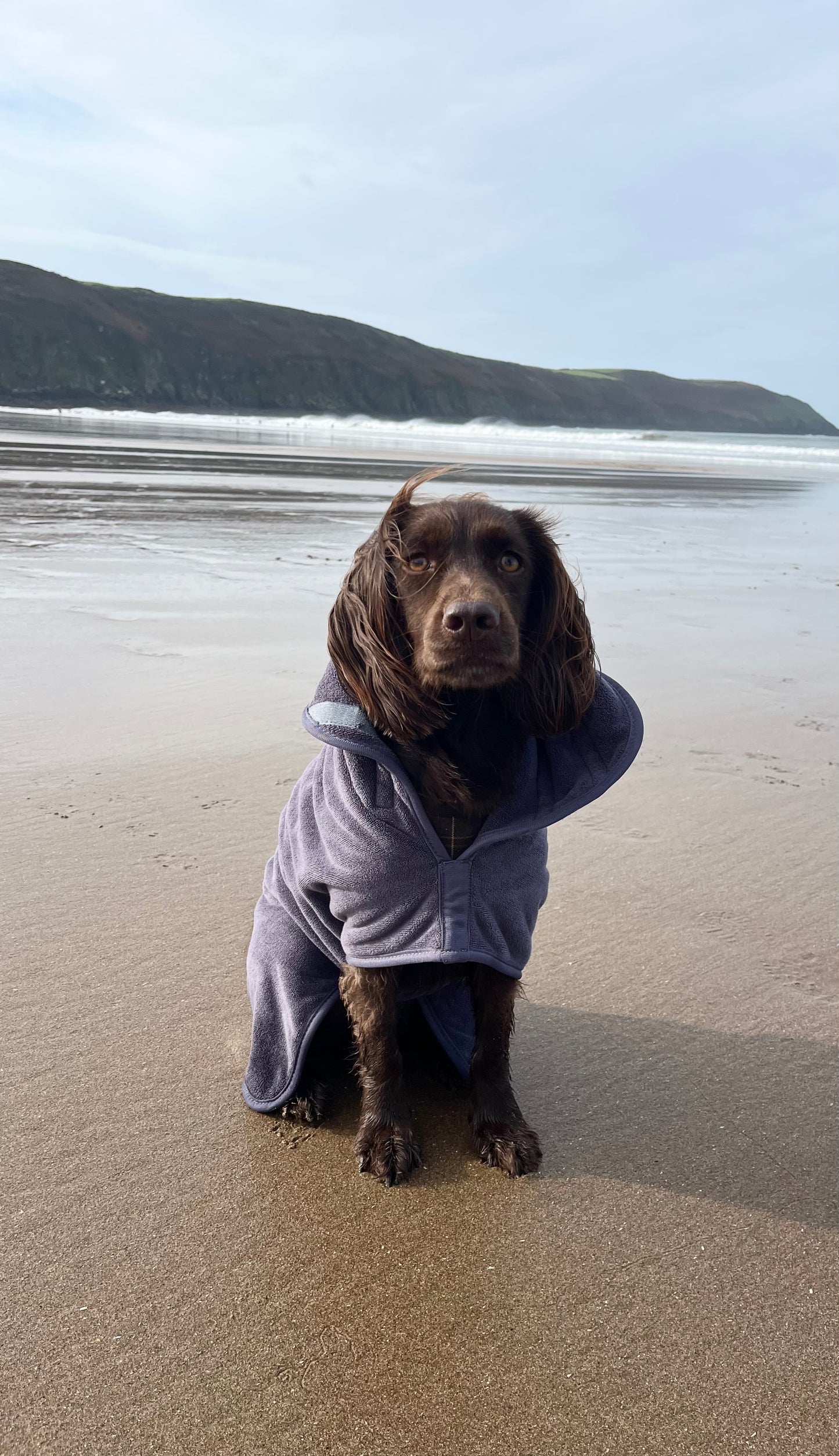 By Lola® - Dog Drying Robe